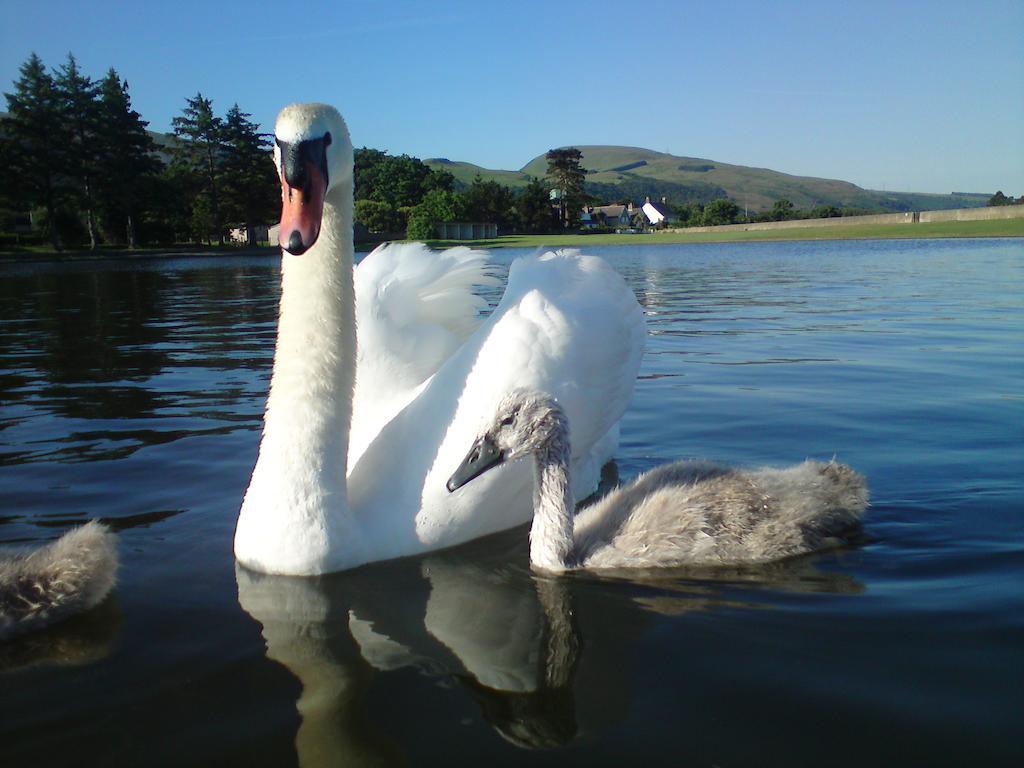Min Y Don Guest House Llanfairfechan Bagian luar foto